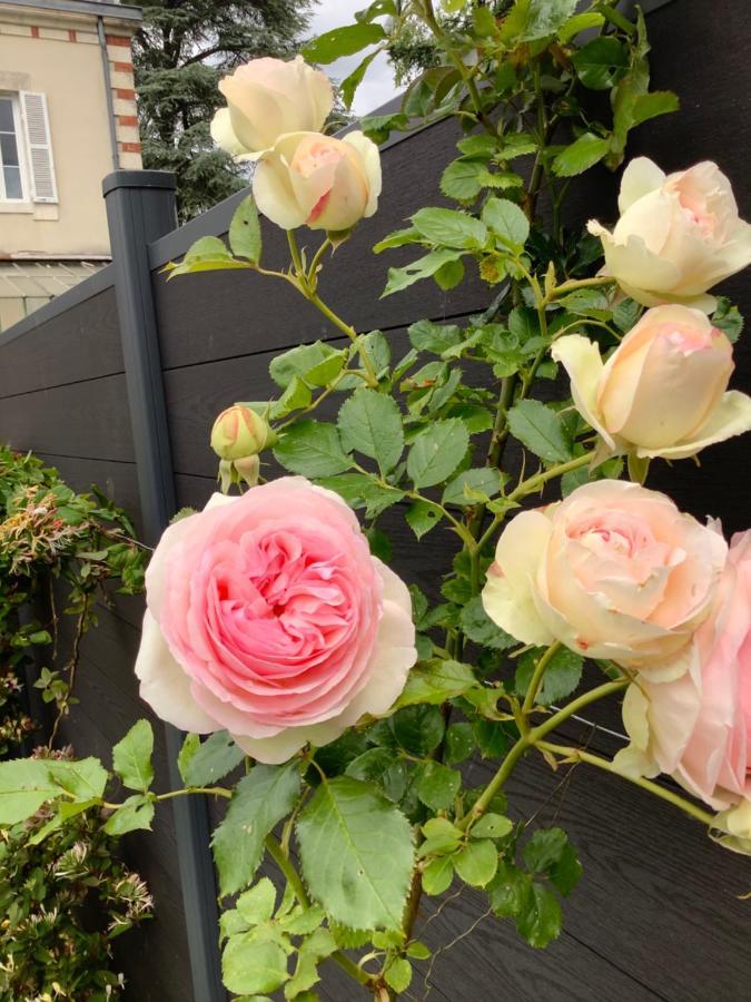 La Renardiere Bourges Exterior photo